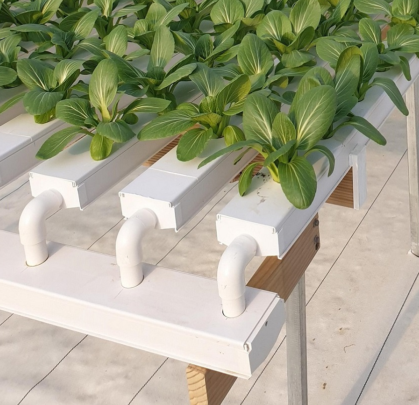 Hydroponic Grow NFT Channel Vertical Grow Rack Hydroponics Kit Modular Plant Trays Grow Table
