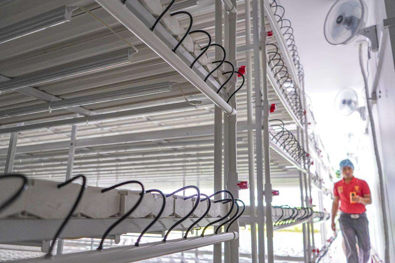 Hydroponic Grow NFT Channel Vertical Grow Rack Hydroponics Kit Modular Plant Trays Grow Table