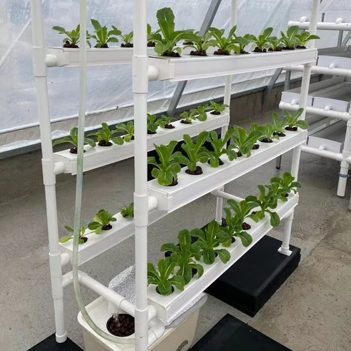Hydroponics Manufacturers Vertical Farming Grow System Home Balcony Vegetable Tomato Grow Kit