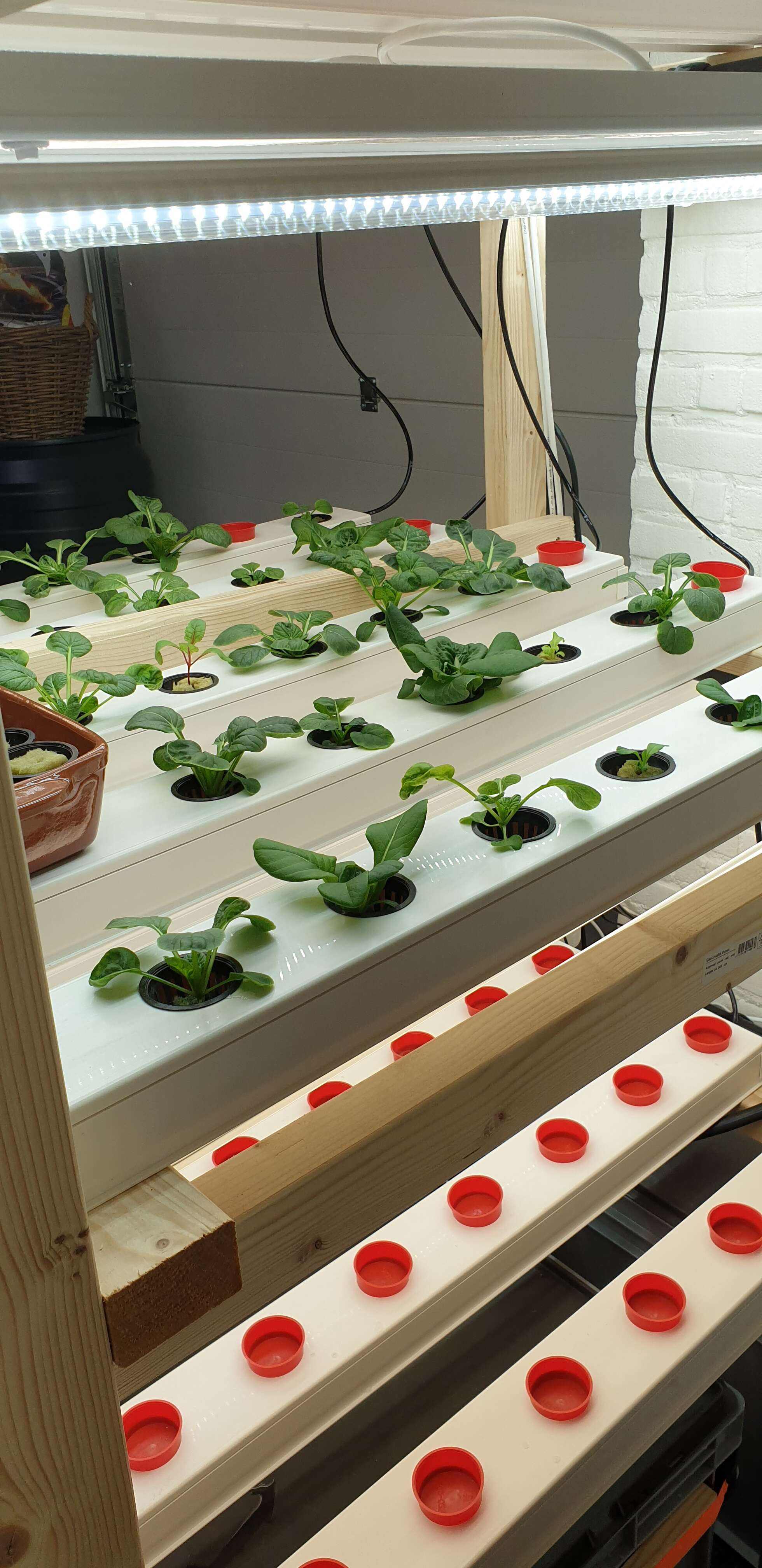 Hydroponics Manufacturers Vertical Farming Grow System Home Balcony Vegetable Tomato Grow Kit