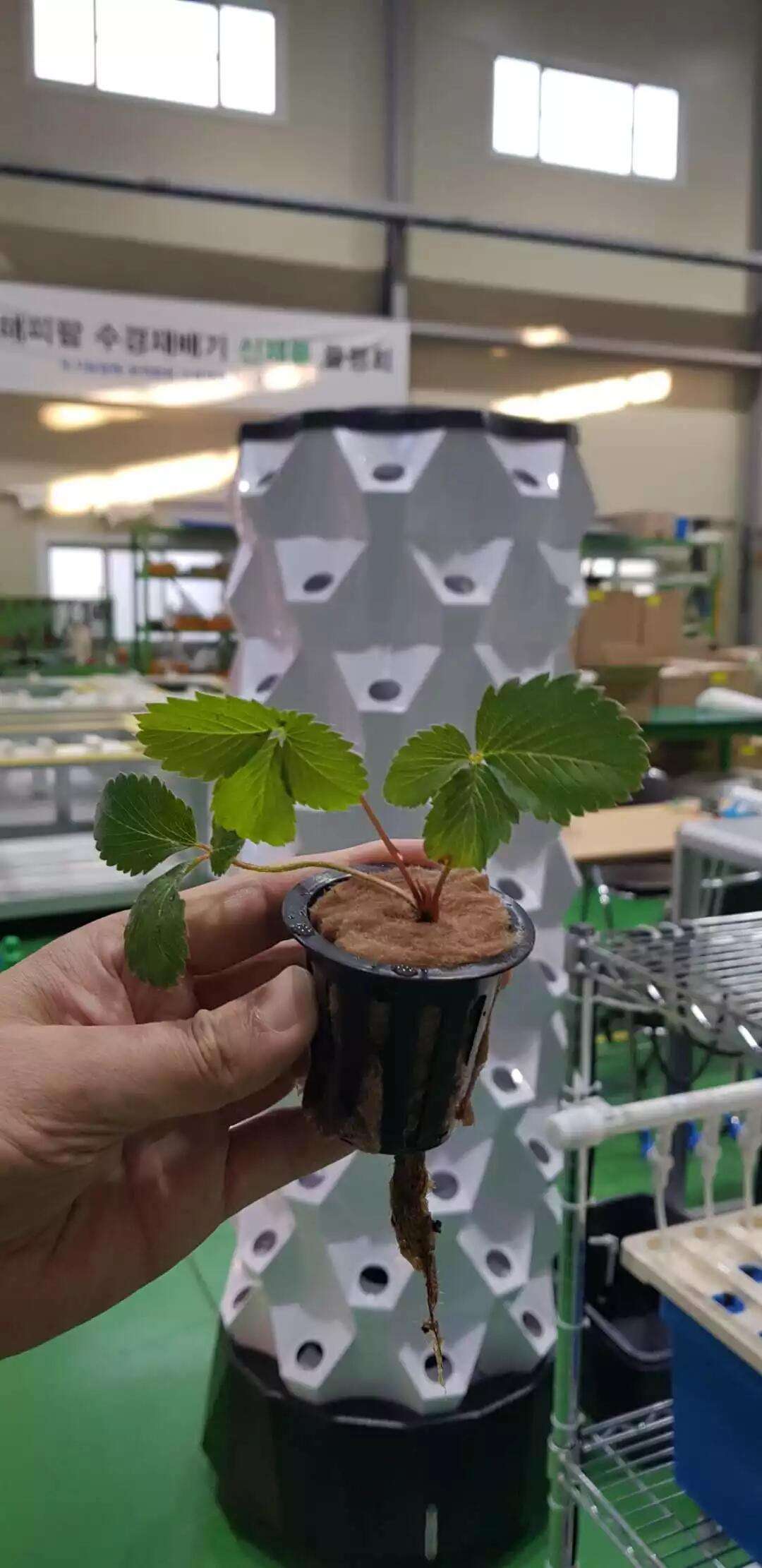 5-10 Tiers Home Use Indoor Gardening DIY Grow Tower for Growing Strawberries Lettuce Vegetables Pineapple Garden Tower