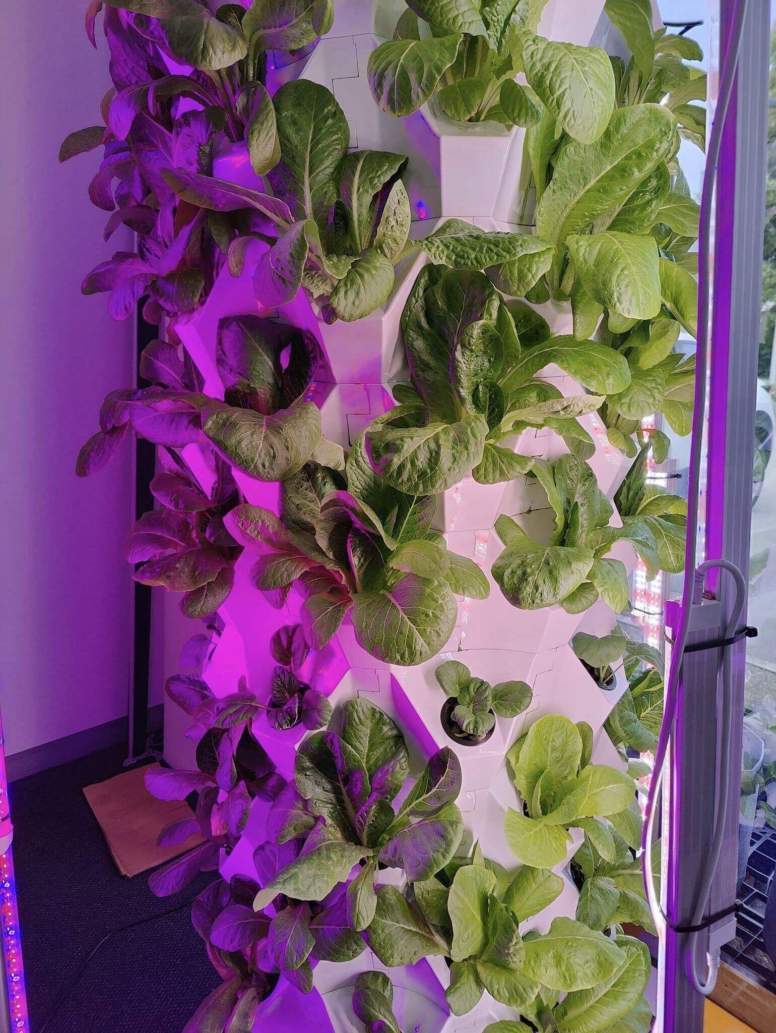 5-10 Tiers Home Use Indoor Gardening DIY Grow Tower for Growing Strawberries Lettuce Vegetables Pineapple Garden Tower