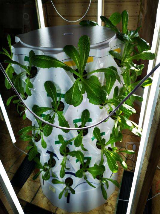 Home Hydroponic System Pvc Pineapple Planting Type Vertical System Hydroponic Grow Tower Agriculture Vertical