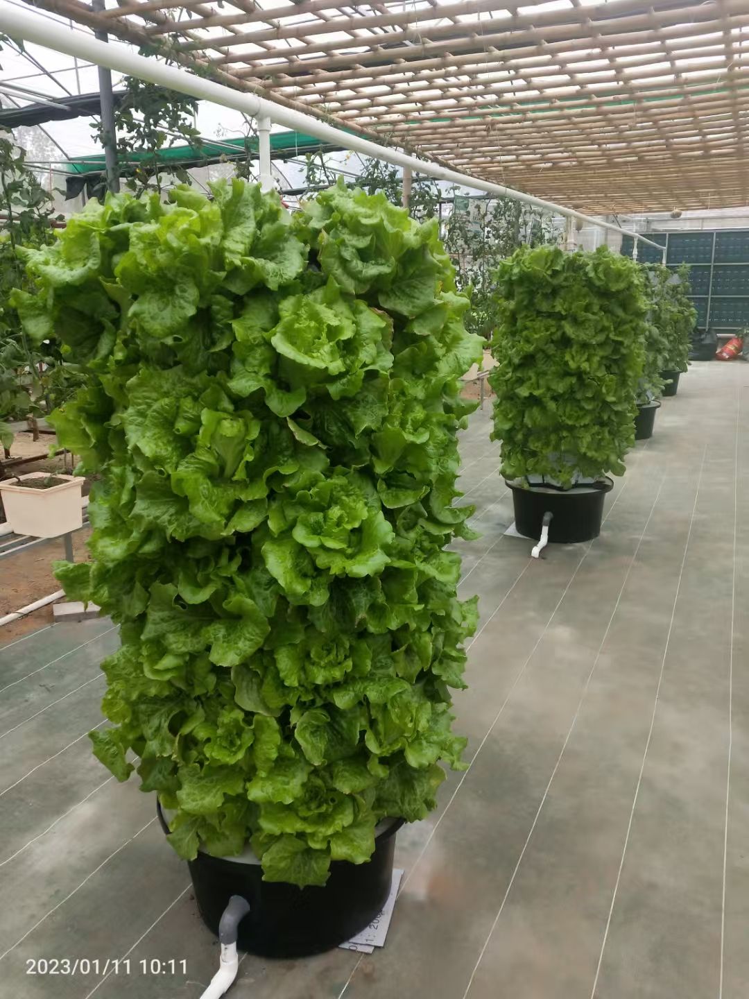 2025 New Improved Food Grade ABS Material Soilless Cultivation 48/60 Plants Available Growing Tower Complete Set