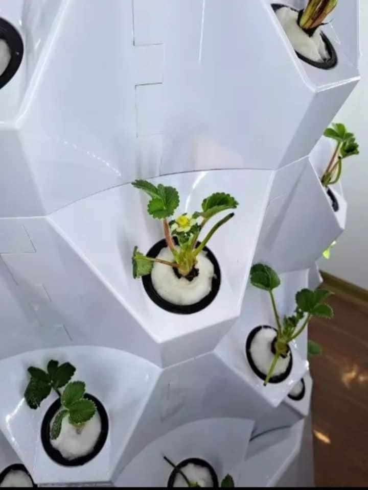 Modern Indoor Aeroponic Garden Tower with Plastic Pots for Herbs Fruits Vegetables Seeds Includes Timer Adapter Seeding Bed Net