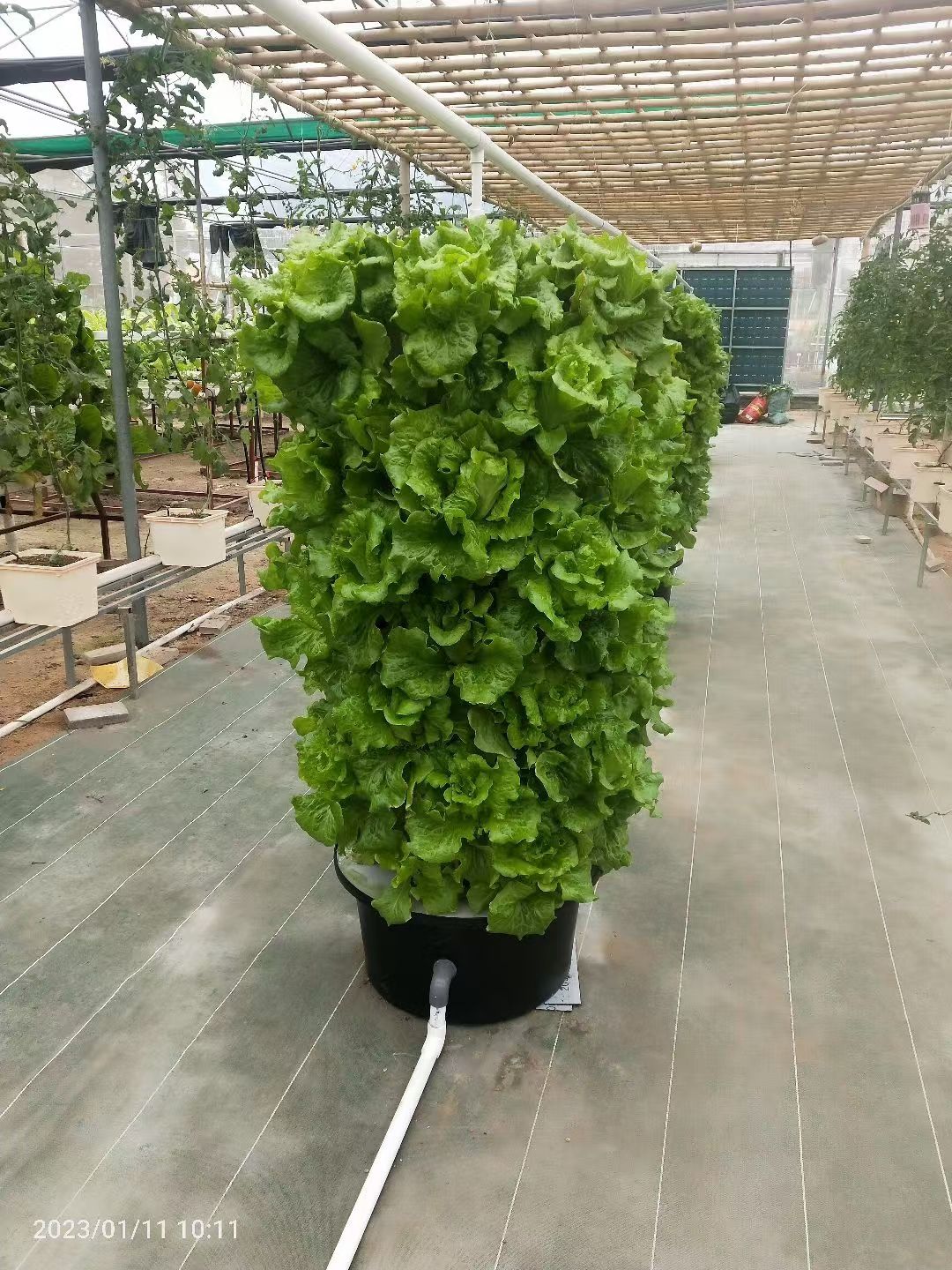 Modern Indoor Aeroponic Garden Tower with Plastic Pots for Herbs Fruits Vegetables Seeds Includes Timer Adapter Seeding Bed Net