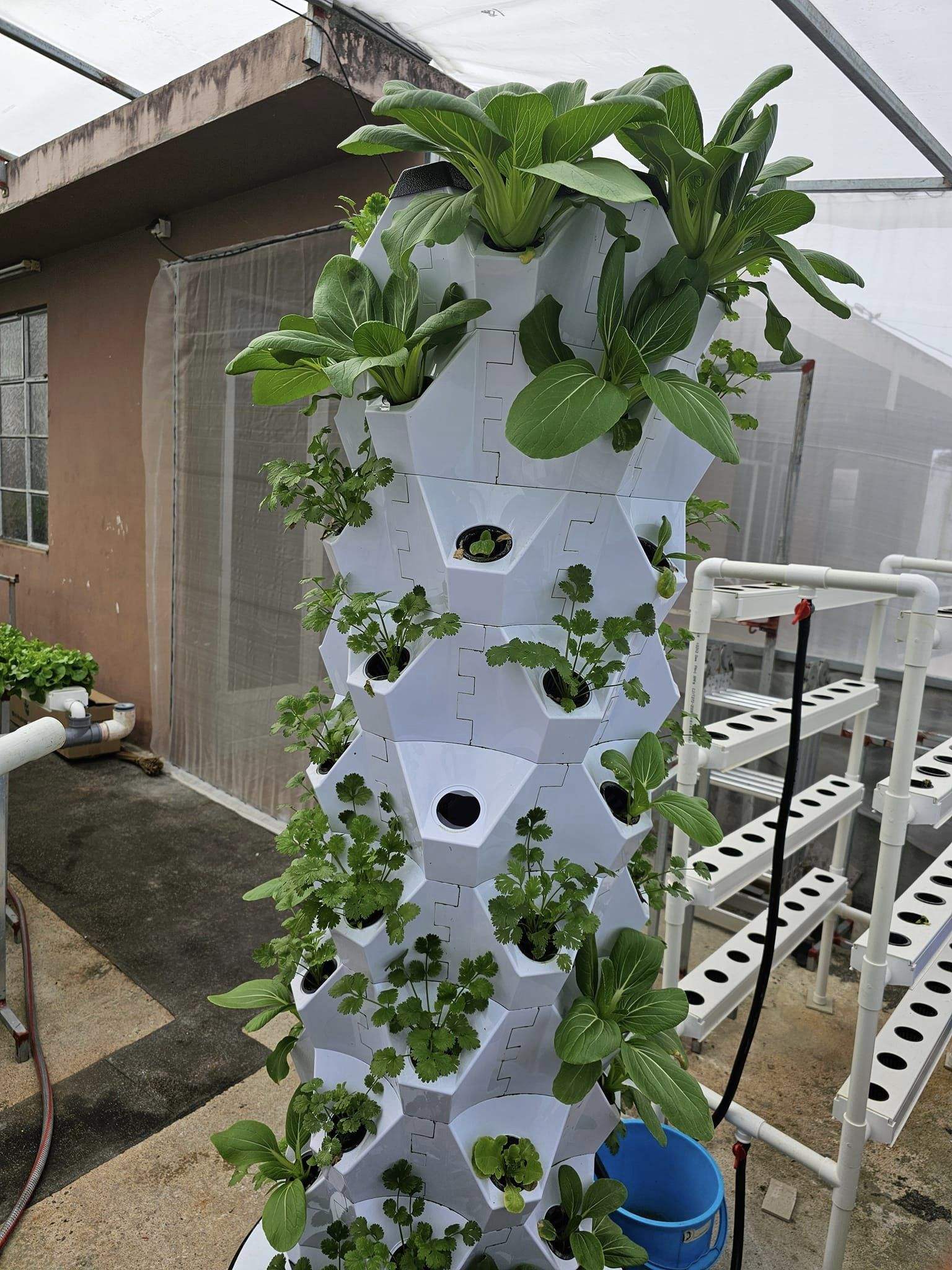 China Quality Smart Soilless Cultivation Aeroponic Tower Vertical Farming Hydroponic Tower Growing System for Vegetable