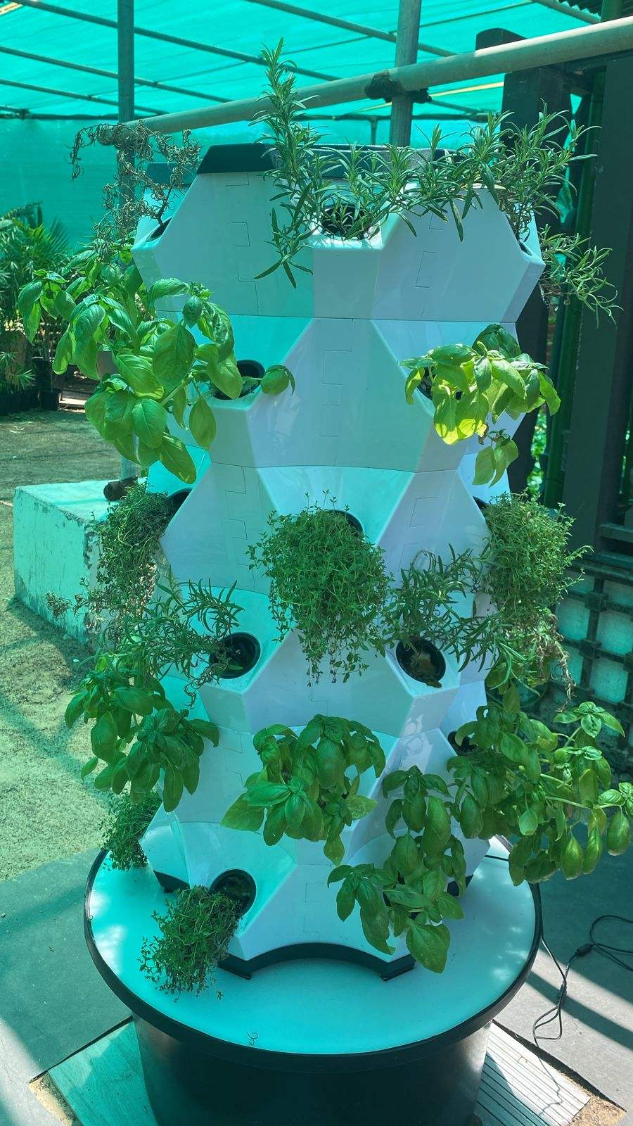 Agriculture Hydroponic Greenhouse Vertical Aeroponics Towers Garden Growing Systems Multilayer Vertical Aeroponics Tower