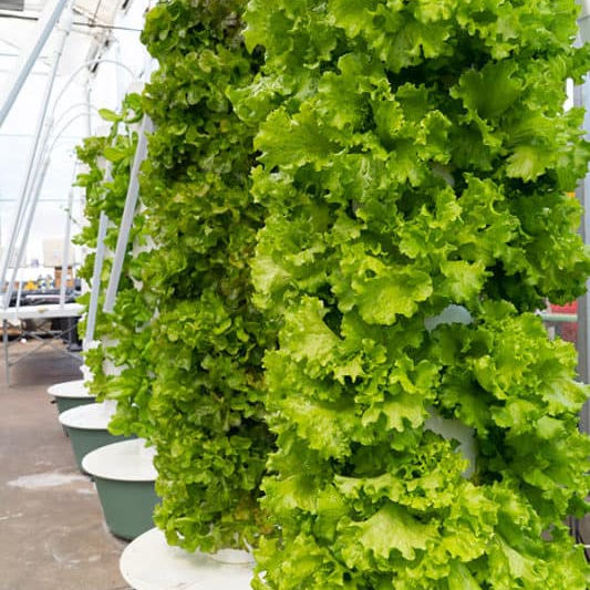 Irrigation Hydroponic System Equipment Pvc Pineapple Vertical Hydroponics System Hydroponic Grow Tower Agriculture