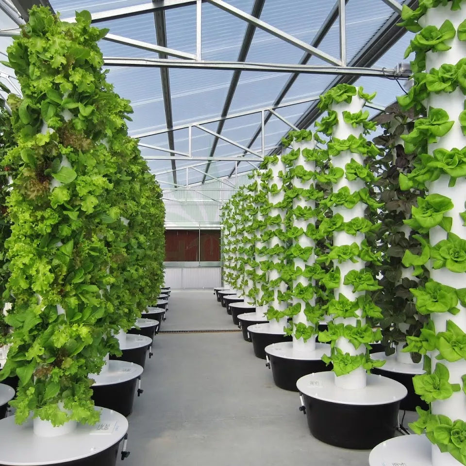 Irrigation Hydroponic System Equipment Pvc Pineapple Vertical Hydroponics System Hydroponic Grow Tower Agriculture