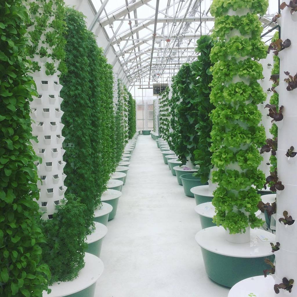 Irrigation Hydroponic Equipment Pvc Pineapple Planting Type Vertical System Hydroponic Grow Tower Agriculture Vertical