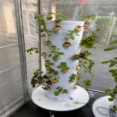 Irrigation Hydroponic Equipment Pvc Pineapple Planting Type Vertical System Hydroponic Grow Tower Agriculture Vertical