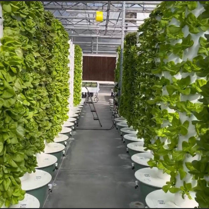 Indoor Aeroponic Tower 10 Layers Vertical Hydroponic Tower Garden Strawberry Grow Vertical Hydroponic System for Vegetables