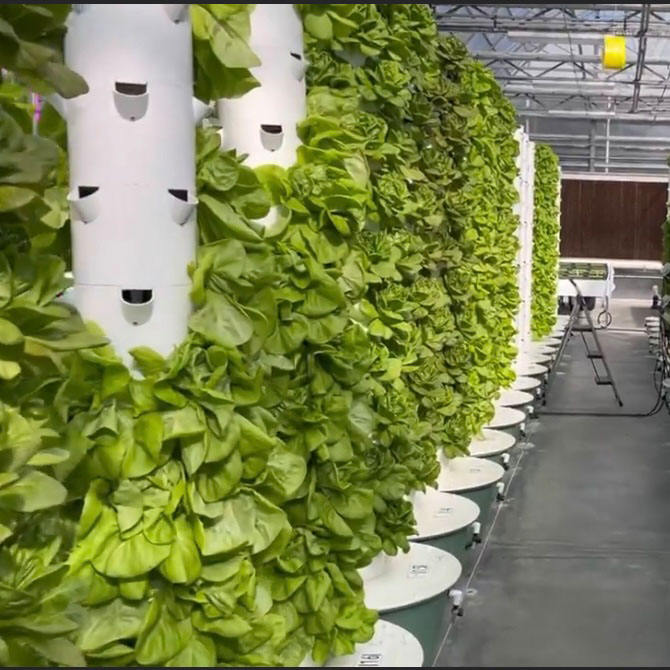 Indoor Aeroponic Tower 10 Layers Vertical Hydroponic Tower Garden Strawberry Grow Vertical Hydroponic System for Vegetables