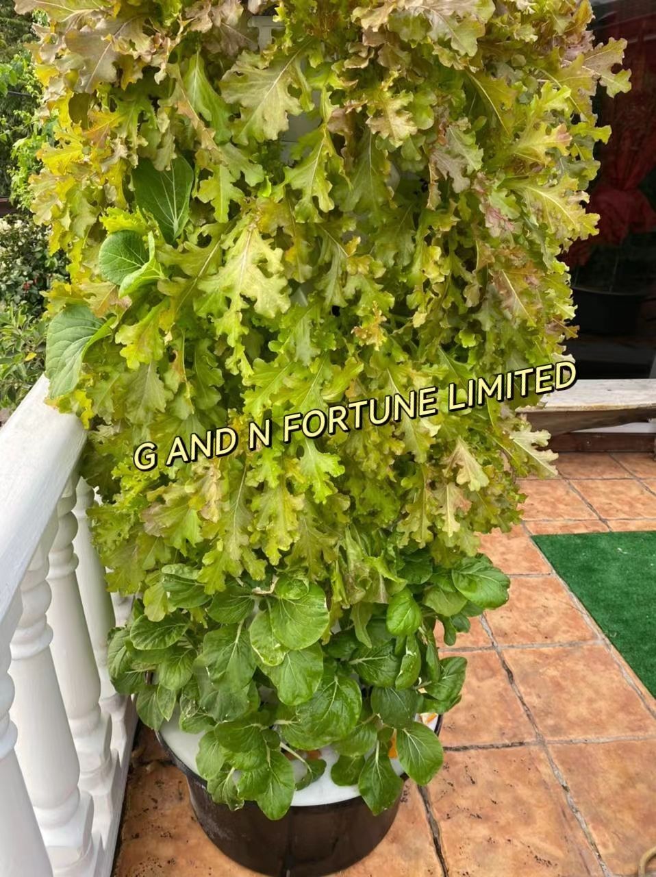 Aeroponic System Hydroponic Vertical Garden Grow Tower Growing Vegetables Herbs Plastic Column Tower System Greenhouse Farming