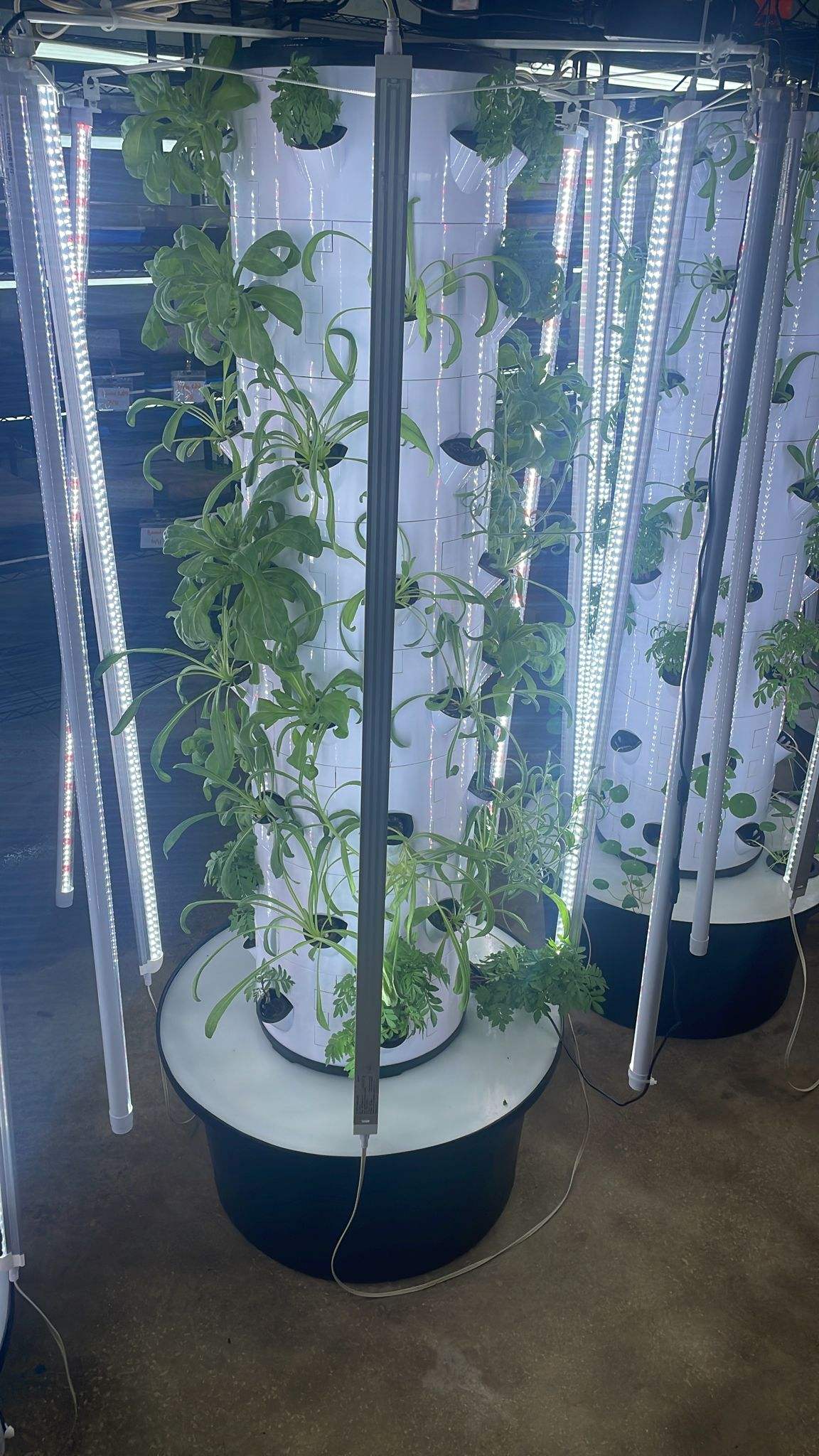 Smart Farming Hydroponics System Automatic Irrigation Home Use Garden Vertical Grow Tower for Vegetables Herbs Lettuce Growing