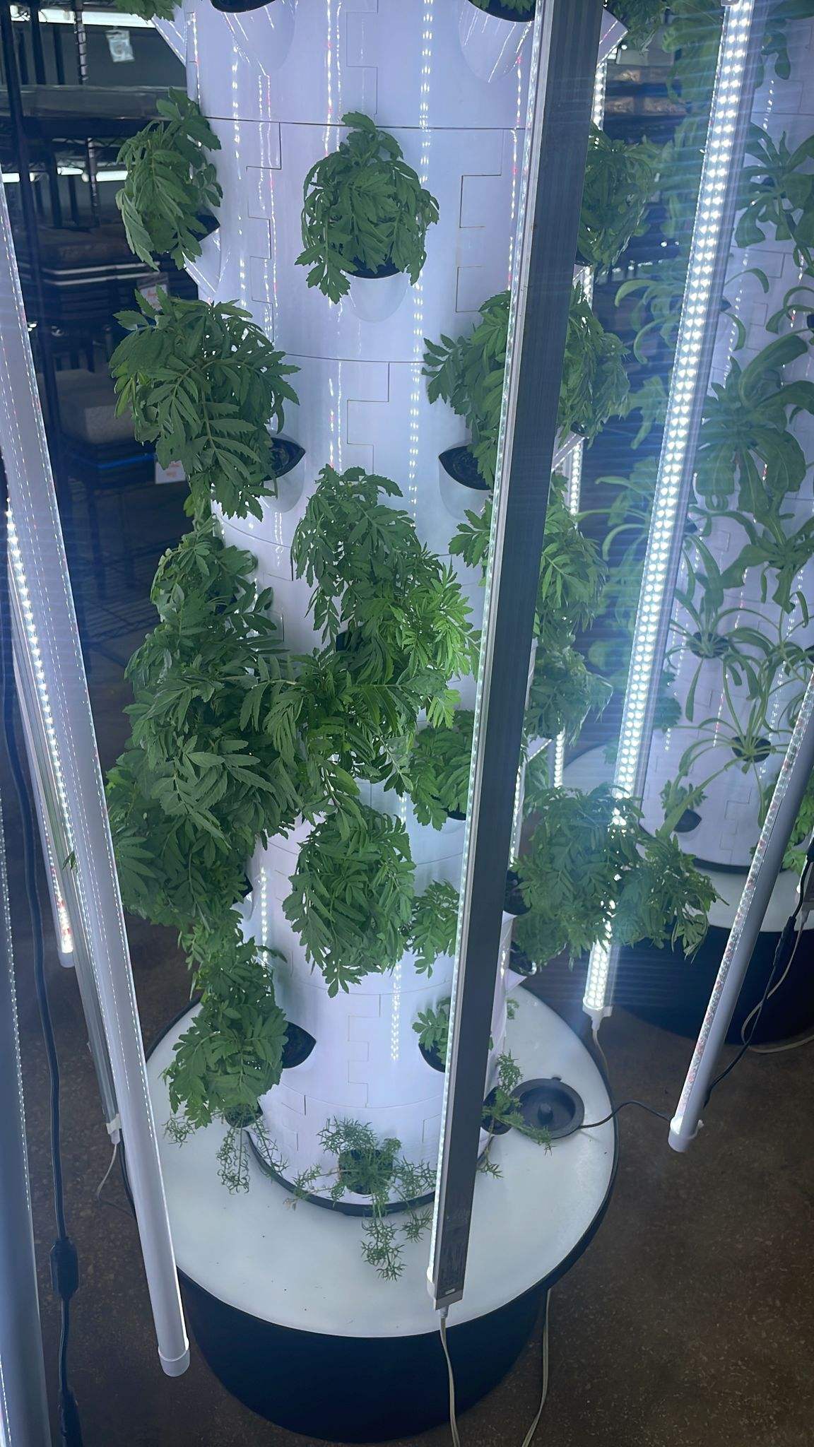 Smart Farming Hydroponics System Automatic Irrigation Home Use Garden Vertical Grow Tower for Vegetables Herbs Lettuce Growing