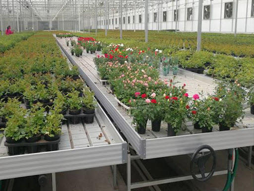 G&N Customized Flood Table Ebb and Flow Rolling Bench Tray Ebb and Flow Hydroponic System for Greenhouse