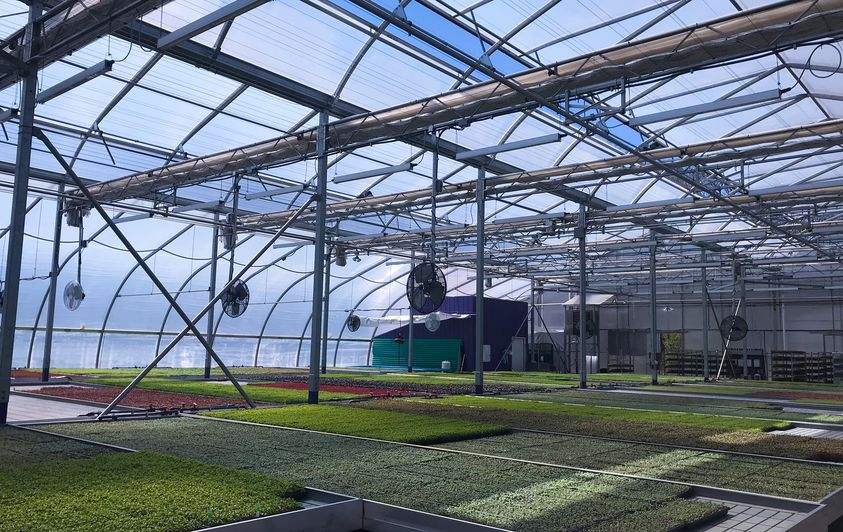 G&N Customized Flood Table Ebb and Flow Rolling Bench Tray Ebb and Flow Hydroponic System for Greenhouse