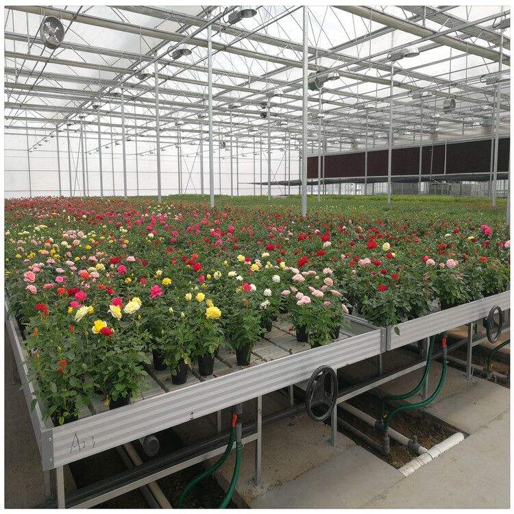 G&N Customized Flood Table Ebb and Flow Rolling Bench Tray Ebb and Flow Hydroponic System for Greenhouse