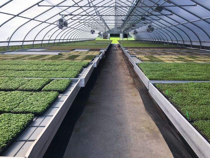 G&N Customized Flood Table Ebb and Flow Rolling Bench Tray Ebb and Flow Hydroponic System for Greenhouse