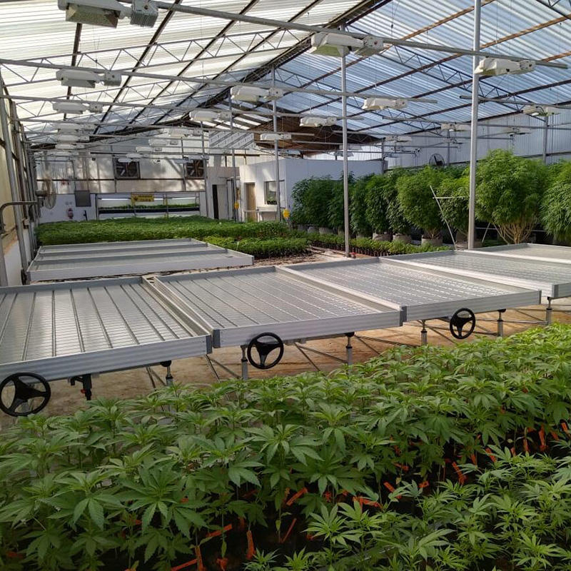 Greenhouse Ebb and Flow Table Rolling Benche Hydroponic System Grow Table Ebb and Flow Table