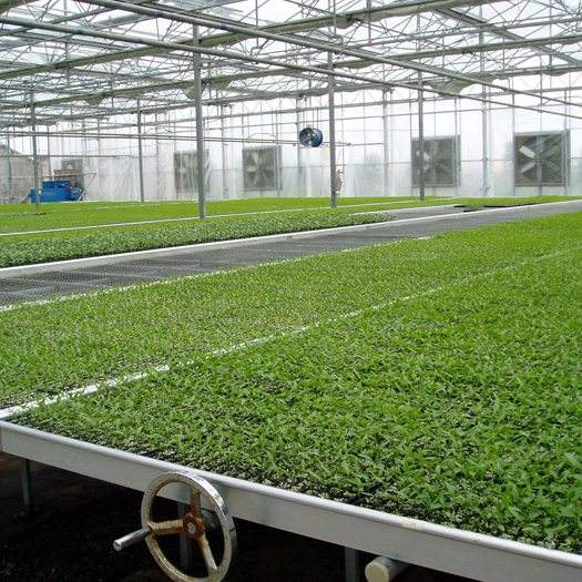 Greenhouse Ebb and Flow Table Rolling Benche Hydroponic System Grow Table Ebb and Flow Table