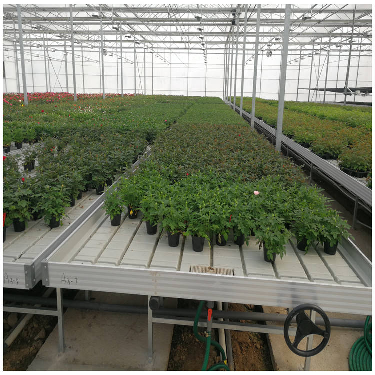 Greenhouse Ebb and Flow Table Rolling Benche Hydroponic System Grow Table Ebb and Flow Table