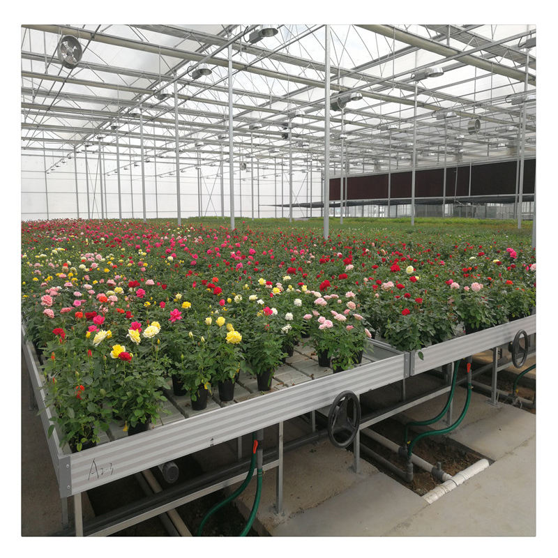 Hydroponic Flood Tables Trays Bench Tables Ebb and Flow Hydroponic Systems