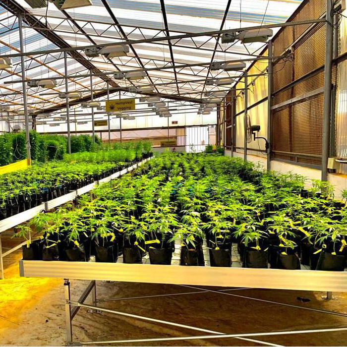 Hydroponic Flood Tables Trays Bench Tables Ebb and Flow Hydroponic Systems