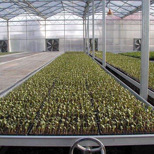 4x4 Ebb and Flow Table Grow Tables Rolling Bench Ebb and Flow System