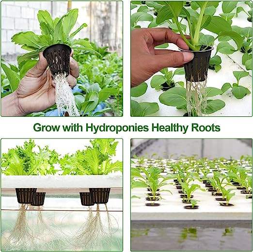 Wholesale Plastic Pant Pot High Quality Basket Net Pot Net Cup NFT Hydroponic for Greenhouse Equipment Hydroponics System