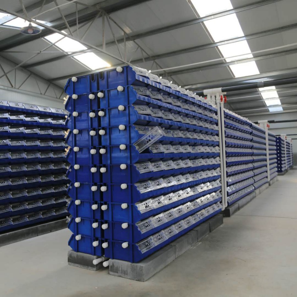 China Factory Good Price PP/PE Plastic Fishing Vented Crab Box RAS System Indoor Farming for Sell