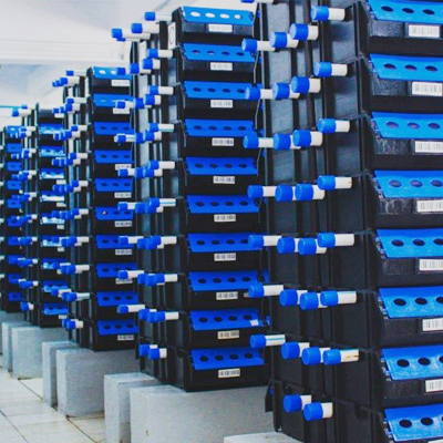 China Factory Good Price PP/PE Plastic Fishing Vented Crab Box RAS System Indoor Farming for Sell
