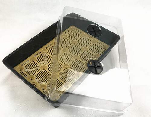 For Uniform Seed Growth, G&N’s Trays for Growing Seeds Stand Out in Hydroponic Systems