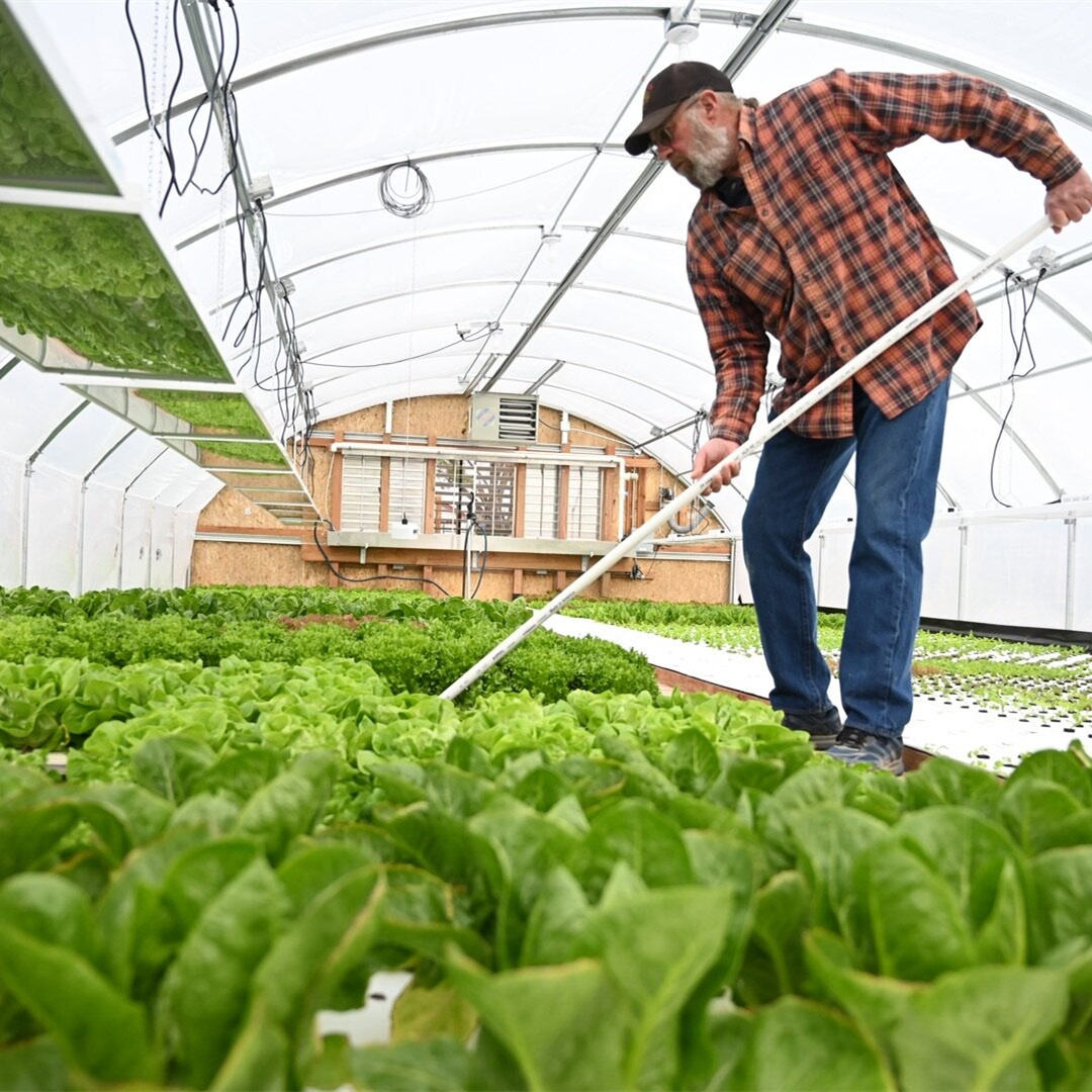 Lightweight Extruded Polystyrene Xps Foam Board for Hydroponics