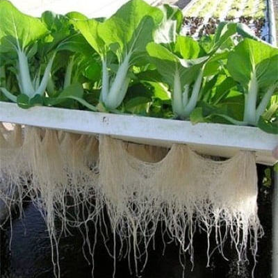 China Greenhouse DWC Board XPS Floating Rafts Foam Water Saving Hydroponic Aquaponics Growing System
