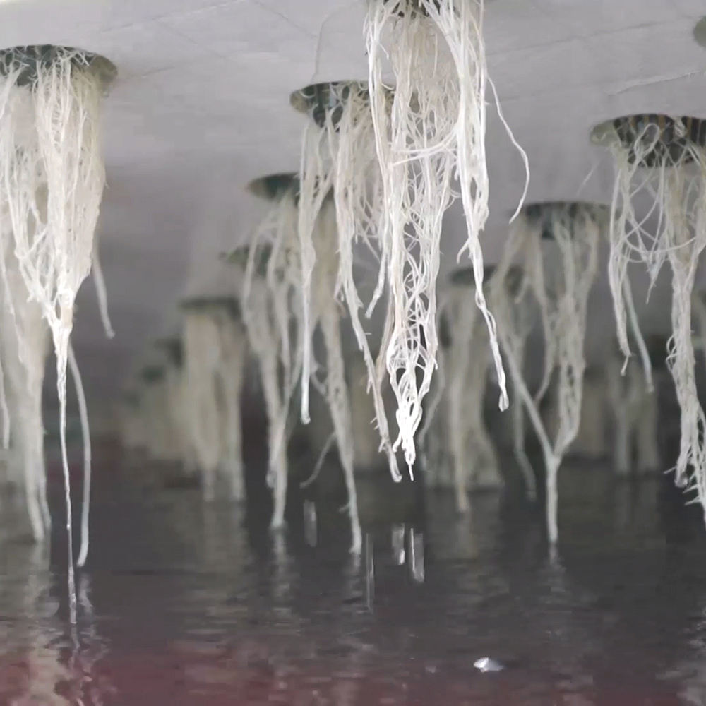 Customized Hydroponics DWC Floating Raft GreenHouse Float Rafts for Growing Vegetables in Commercial Green House