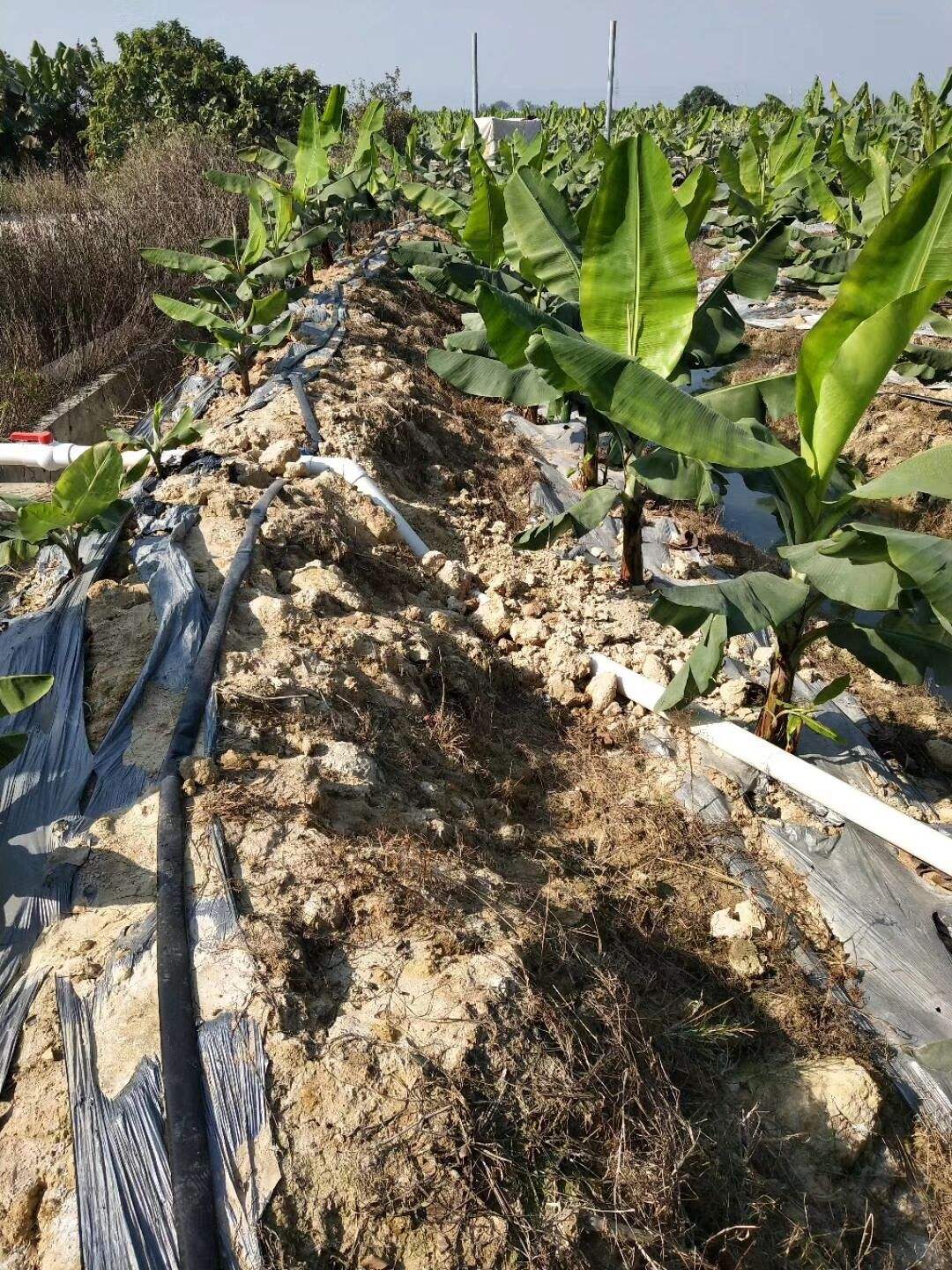 16/20/25/32/40/50/63/75 mm for Typical Level Grade Farming Agriculture Irrigation HDPE Pipe