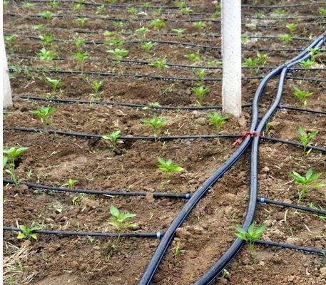 16/20/25/32/40/50/63/75 mm Agriculture Irrigation HDPE Pipe Greenhouse Farming Hydroponics