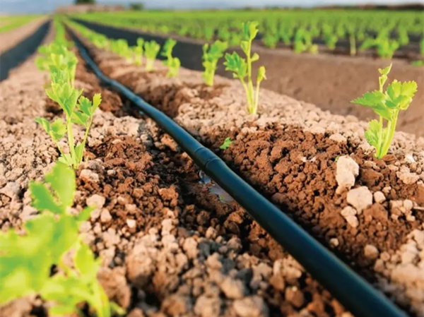 16/20/25/32/40/50/63/75 mm Factory Supply Agriculture Irrigation HDPE Pipe Polyethylene Pipe Fittings