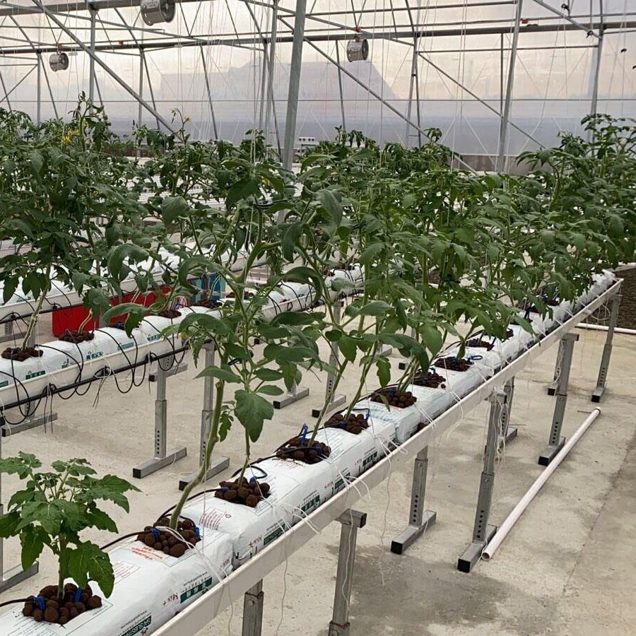 New Agriculture Equipment Drip Irrigation System PVC Trough Greenhouse Growing System Hydroponic Tomato PVC Pipe System