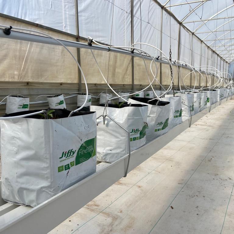 New Agriculture Equipment Drip Irrigation System PVC Trough Greenhouse Growing System Hydroponic Tomato PVC Pipe System