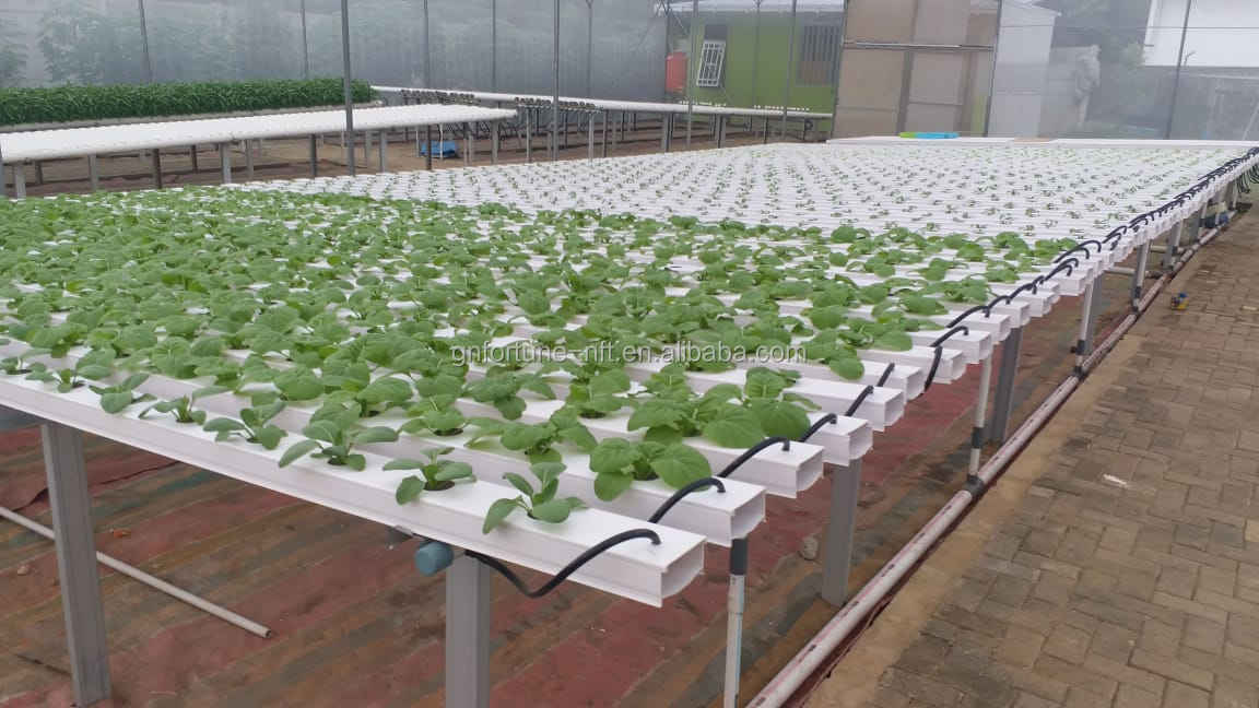 Hydroponic Growing System Irrigation Pipe