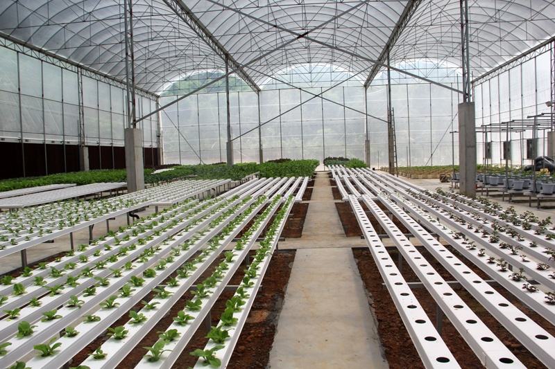 Hydroponic Growing System Irrigation Pipe