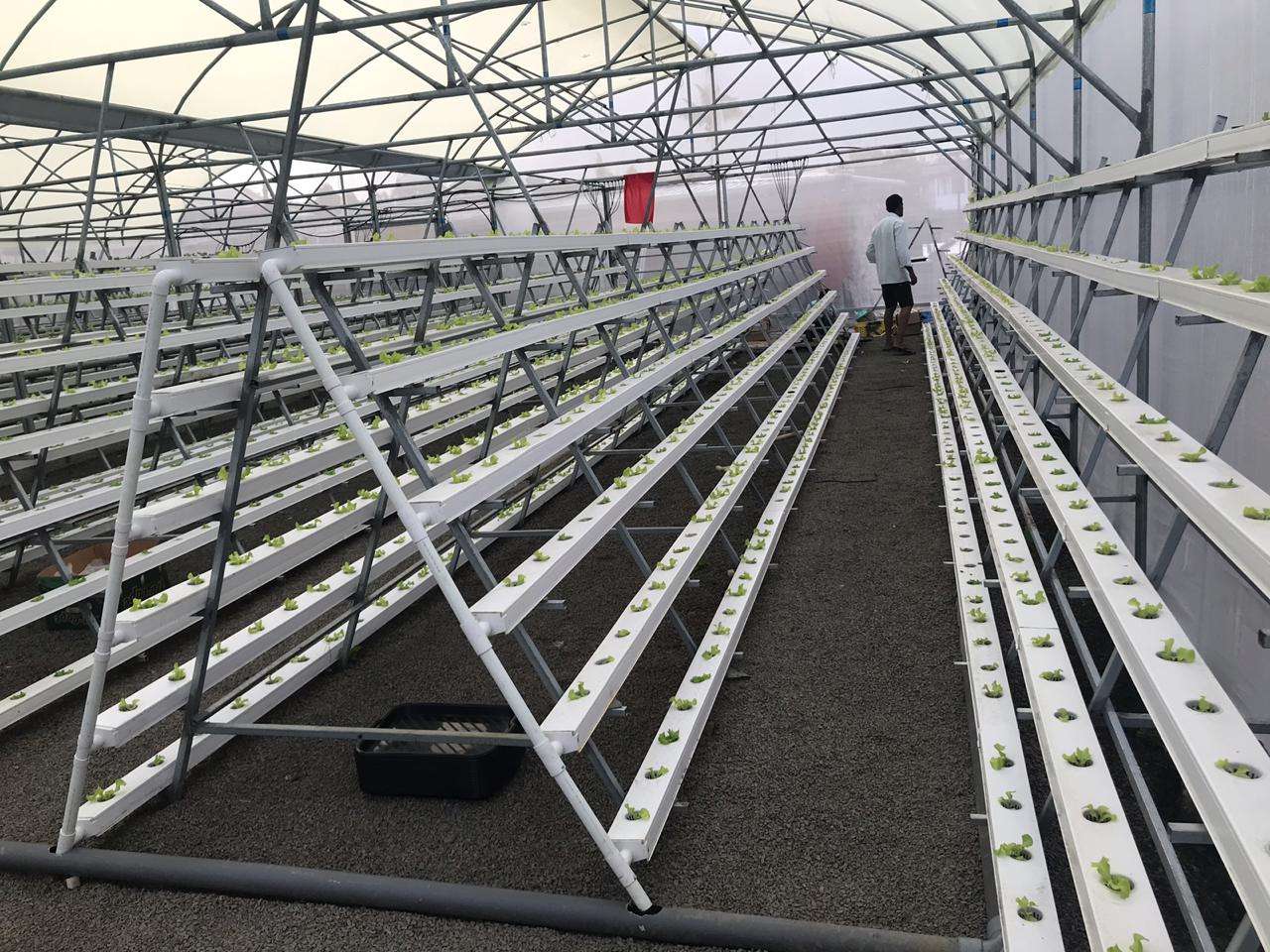 Hydroponic Growing System Irrigation Pipe