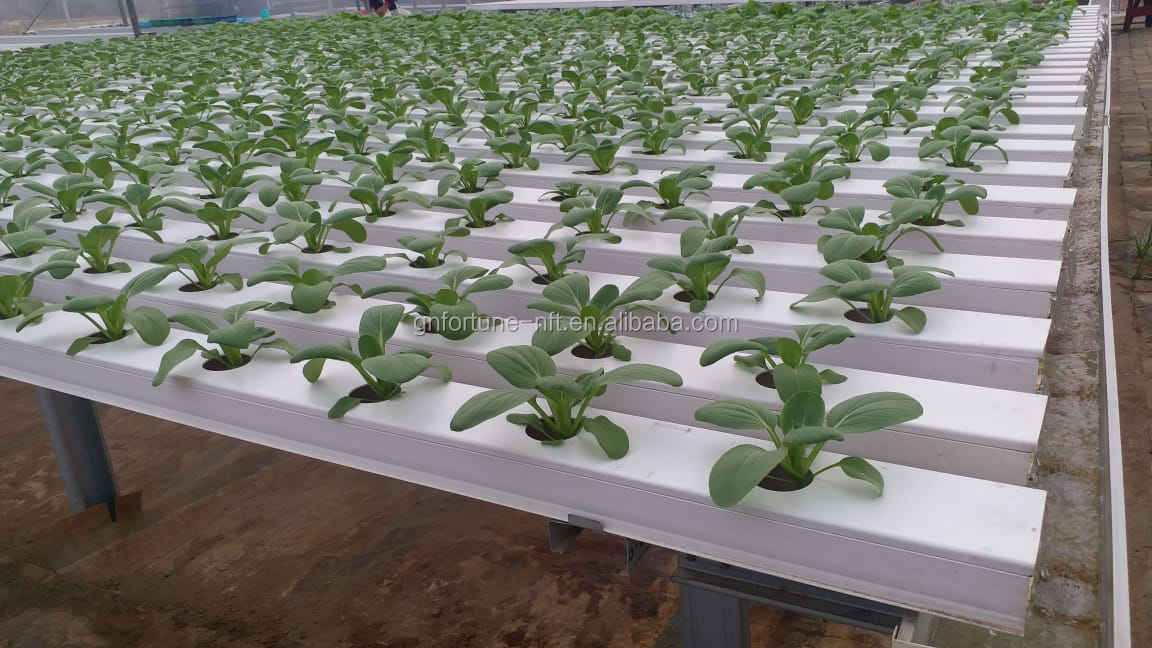 Hydroponic Growing System Irrigation Pipe