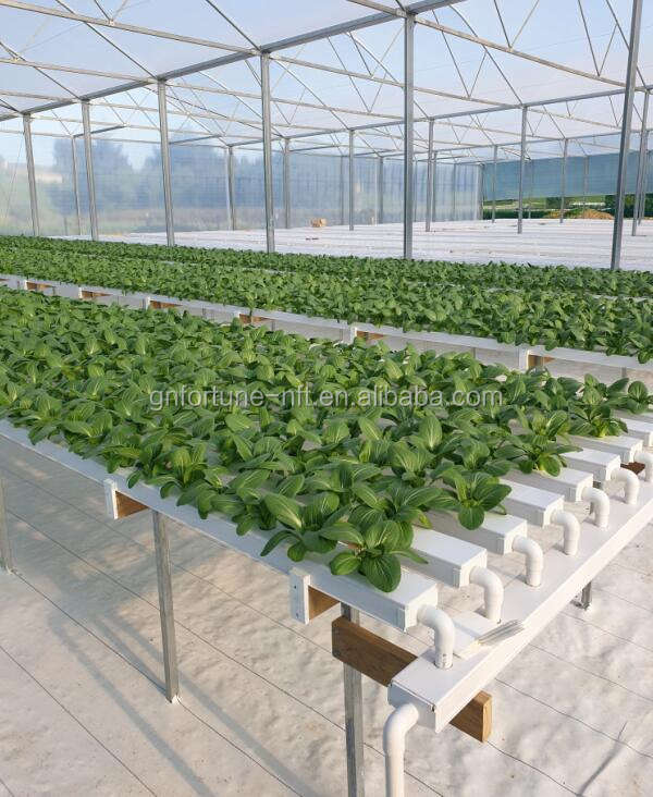 Hydroponic Growing System PE Feed Tube