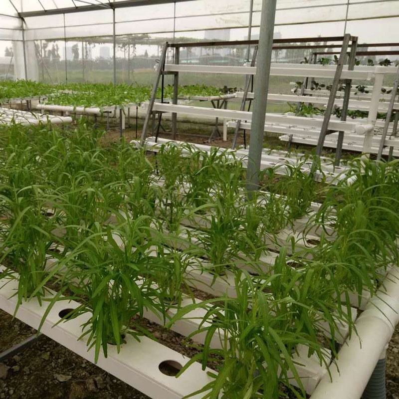 Hydroponic Growing System PE Feed Tube