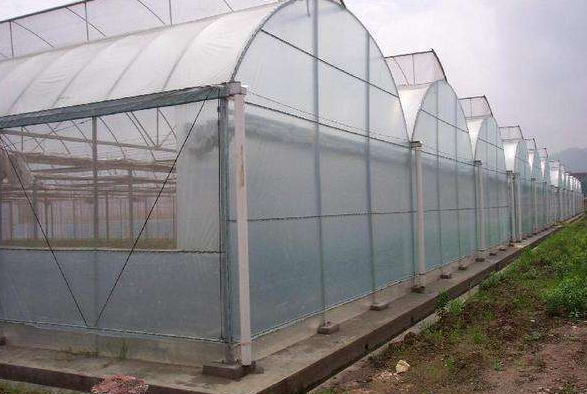 Clear Plastic Shed Greenhouse Covering Plastic protection Film Greenhouse Used for Agricultural Greenhouse Film
